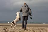 ADULTE ET CHIEN 212